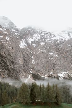 在阴沉的天气下，茂密的针叶林与雪山形成了高角度