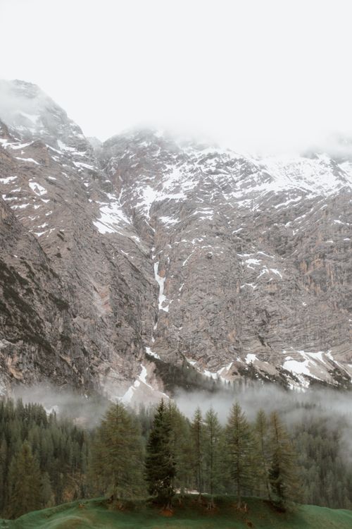Free High angle of dense coniferous forest against mountain slope with snowy peak in gloomy weather Stock Photo