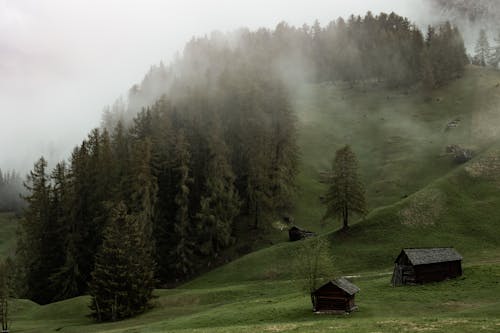 Aged small wooden buildings in green valley against foggy hill with green woodland