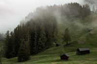 Timber cabins on a misty larch hillside — photo by eberhard grossgasteiger on Pexels