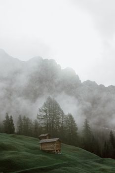 雾气缭绕的山坡上，一座孤零零的木屋坐落在薄雾与树木之间，营造出宁静而阴沉的氛围