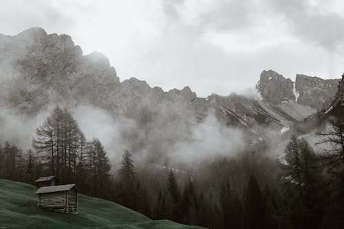 Fotobanka s bezplatnými fotkami na tému budova, čerstvý, chata