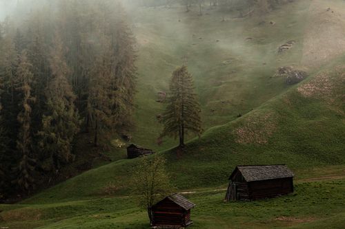 Free From above of small abandoned wooden buildings located in green terrain near forest Stock Photo