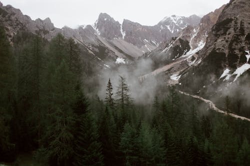 High steep mountain slopes and green woods