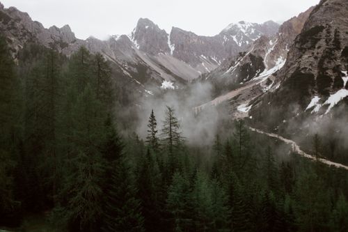 Free High angle of dense coniferous forest located in highland surrounded by snowy mountains Stock Photo