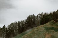 薄雾笼罩着宁静的森林山坡，捕捉到大自然平静的本质