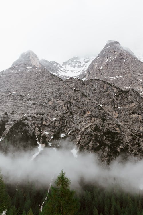 Amazing scenery of severe mountain slope with snowy peaks located near evergreen forest in foggy morning