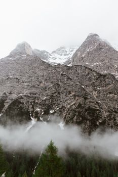 雾天的早晨，常绿森林附近，白雪皑皑的山峰耸立于陡峭的山坡上，景色令人惊叹