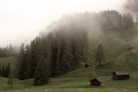 云雾缭绕的森林、草地和乡村小屋构成宁静的景观，营造出一种静谧而神秘的氛围