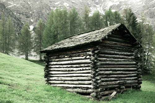 Abandoned cottage made of logs located on green mountainous valley amidst evergreen trees