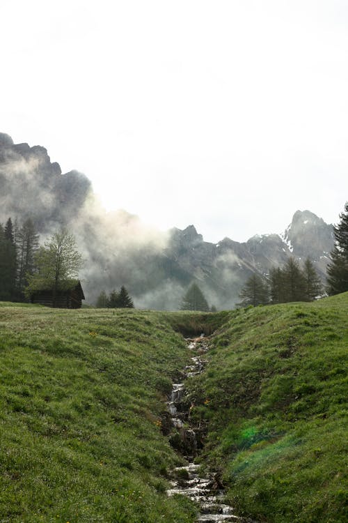 Shabby cottage on lush mountainous valley amidst fog