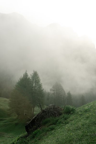 Exported image — photo by eberhard grossgasteiger on Pexels