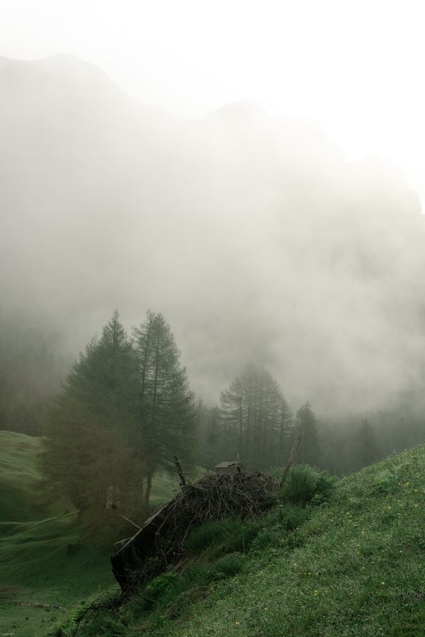Fog rolling over a hillside — photo by eberhard grossgasteiger on Pexels