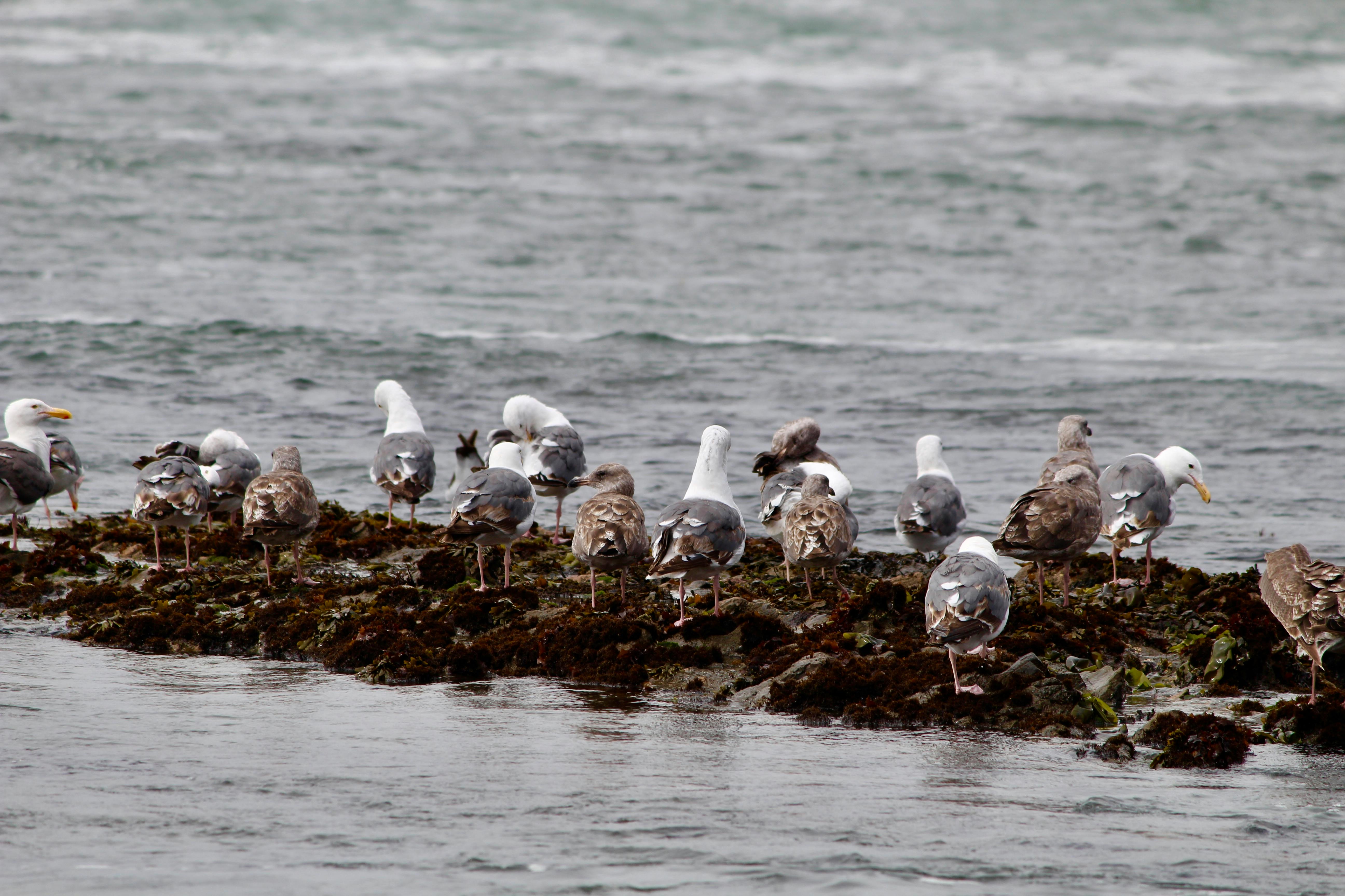 손에 동전을 들고 있는 모습, 복리 효과를 상징