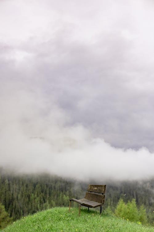 Mysterious view of abandoned wooden bench on grassy hilltop against lush forest covered with thick layer of mist