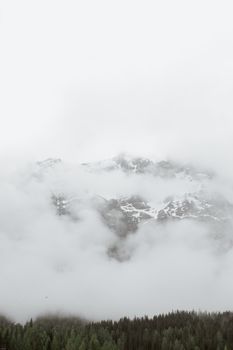 郁郁葱葱的常绿森林附近，浓雾覆盖着崎岖不平的雪山风景