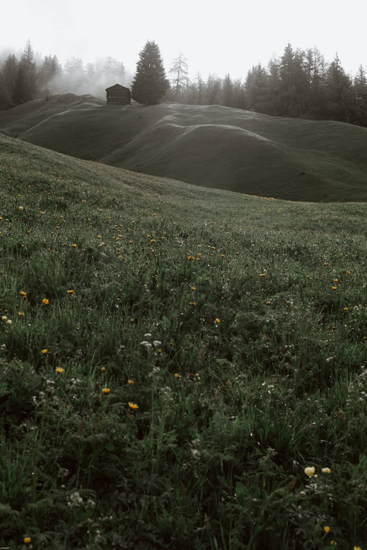 Peaceful Hilly Valley With Small Rural Cottage