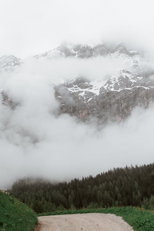 Kostenloses Stock Foto zu abhang, angebot, ausgezeichnet