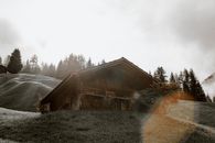 Low angle of small weathered village house located on green hilly valley amidst coniferous trees on overcast day