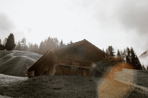 Free Low angle of small weathered village house located on green hilly valley amidst coniferous trees on overcast day Stock Photo