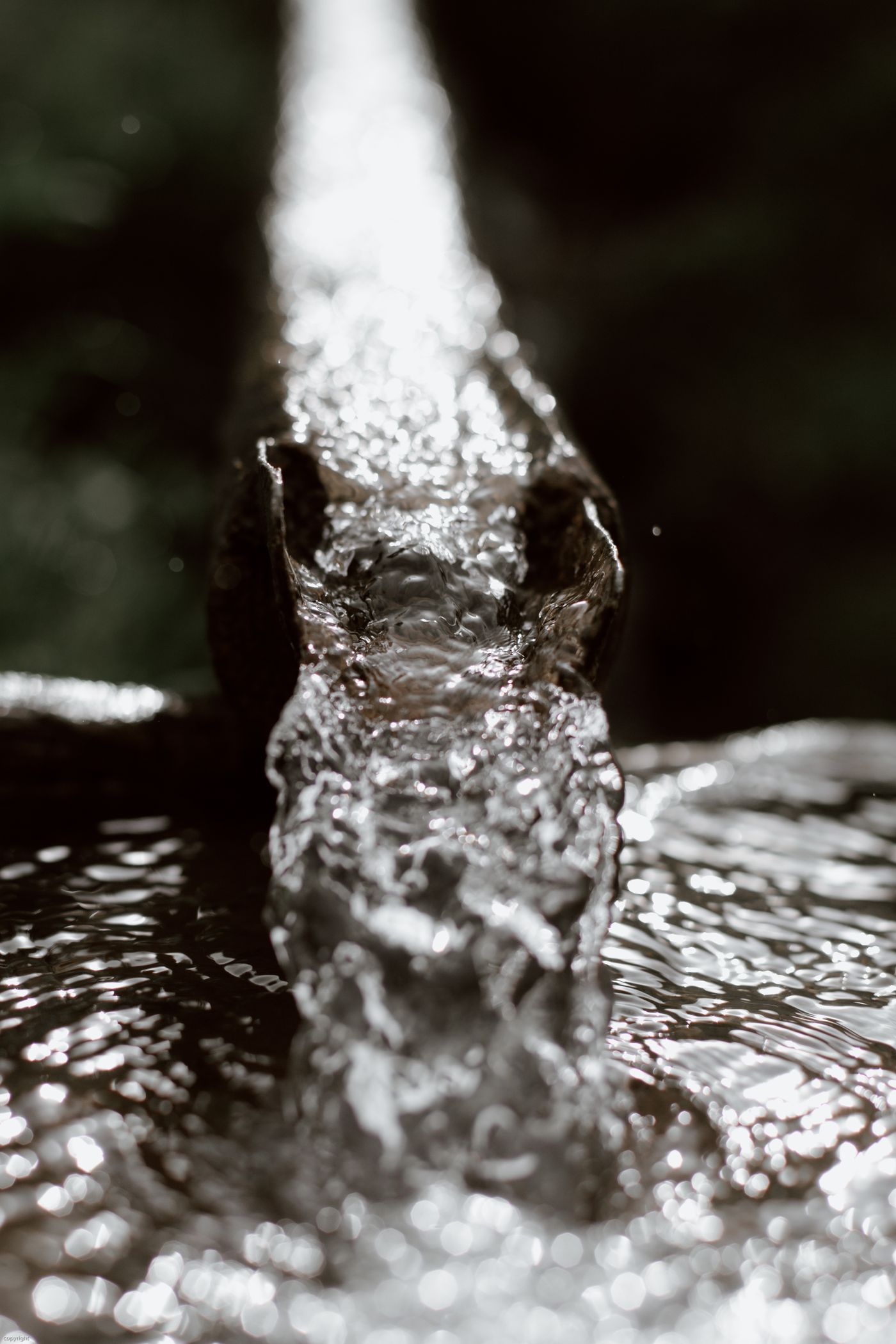 Rainwater flowing from a gutter into a barrel in a garden