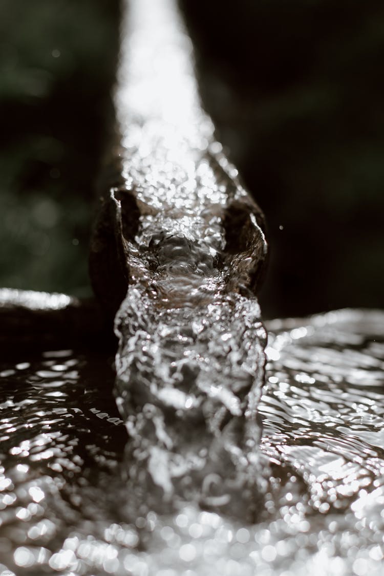 Metal Rusted Drain Gutter Leading Water Into Barrel In Garden