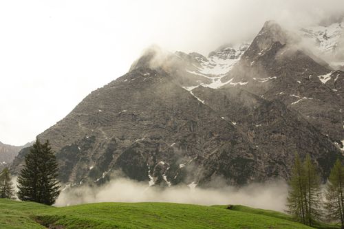 Free Green field with trees and mountain ridge covered with snow and mist in overcast weather Stock Photo