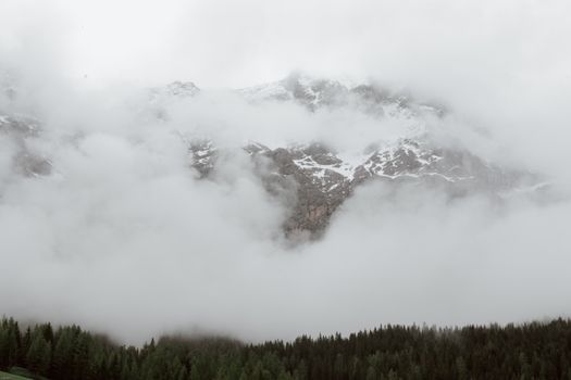 云雾缭绕的山脉、郁郁葱葱的森林，构成一片宁静的风景