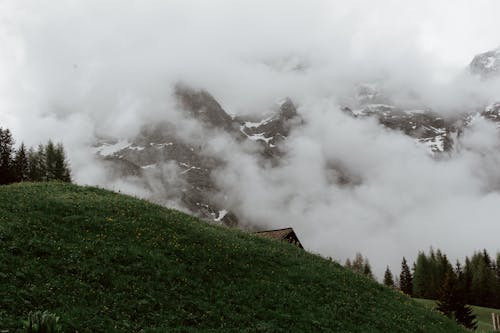 Picturesque landscape of green hill and trees against snowy mountain ridge covered in clouds