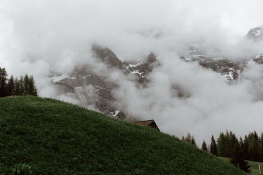 青山绿树成荫，白雪皑皑，风景如画