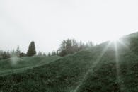 清晨日出时分，阳光昏暗，宁静森林附近青山风景优美