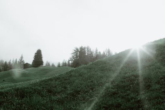 Scenic green hills near calm forest during early morning sunrise with dim sunlight