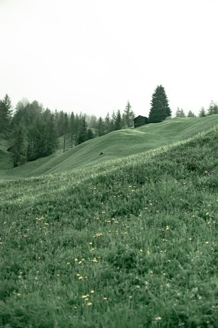 Majestic scenery of green slope with lush grass under cloudy sky in summer