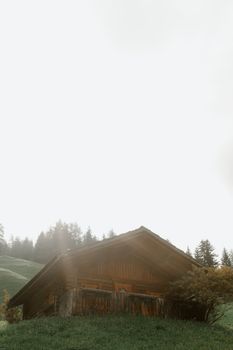 日出时分，一座宁静的木屋坐落在郁郁葱葱的绿色草地上，营造出和平与和谐的氛围
