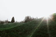 日出时分，阳光穿透迷雾笼罩的森林，映照出一片宁静的风景与郁郁葱葱的青山