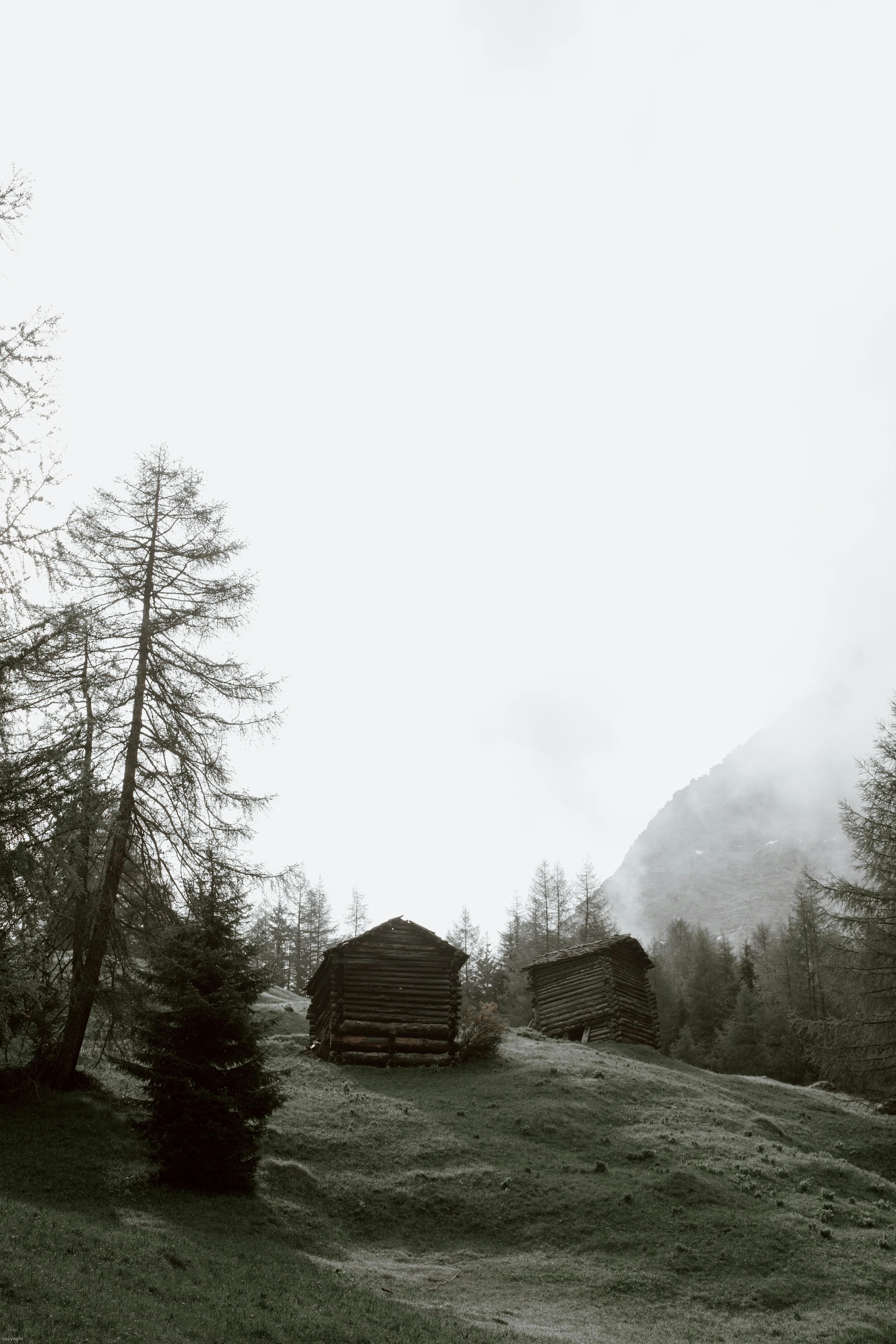雾天，古老的木制棚屋坐落在山间树林的绿坡上