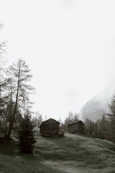 雾天，古老的木制棚屋坐落在山间树林的绿坡上