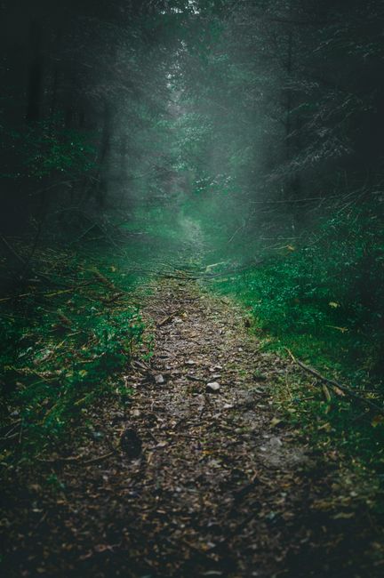 The Mysterious Enchanter