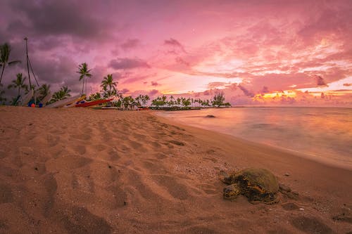 Ücretsiz abd, ada, akşam içeren Ücretsiz stok fotoğraf Stok Fotoğraflar