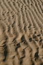 Brown Sand With Footprints