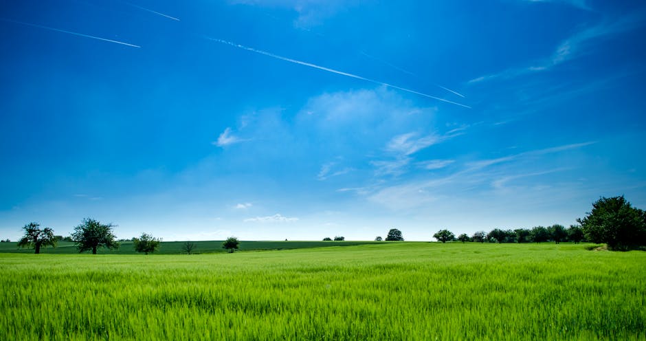 agriculture, clouds, countryside