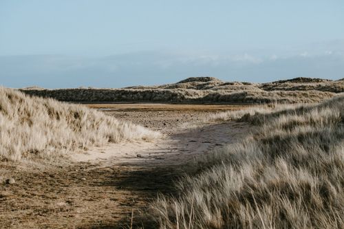 Free Tranquil landscape of a sandy pathway cutting through dunes with tall grass. Stock Photo