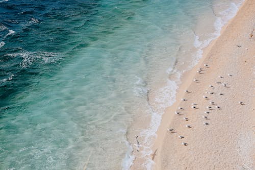 Free Aerial view of seagulls on amazing sandy beach with crystal clear turquoise water of ocean Stock Photo