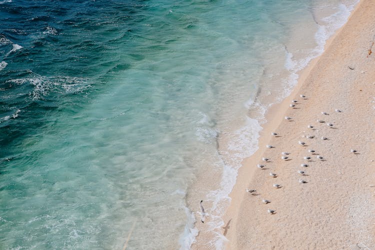 Beautiful Sandy Beach With Waving Ocean On Sunny Day