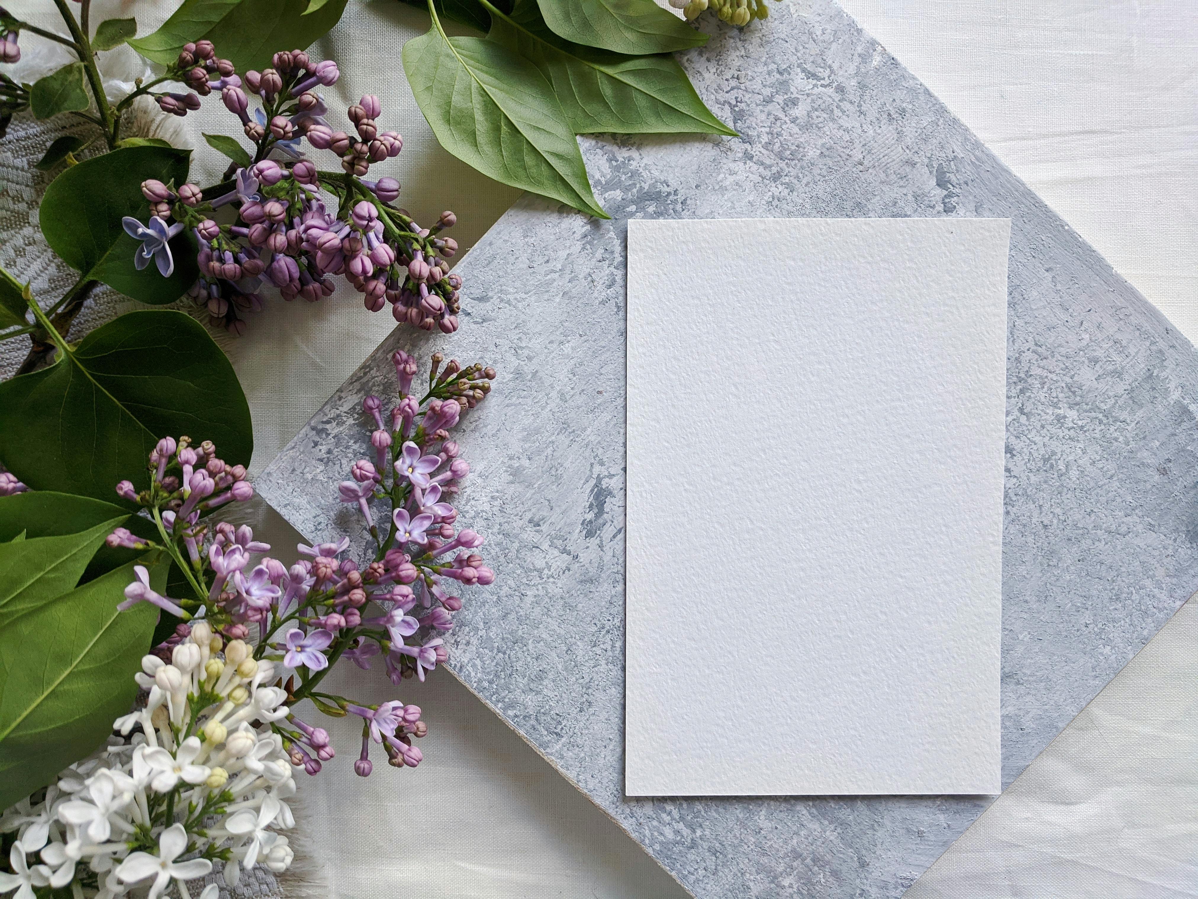 general travel cards — Photo by Asya Vlasova on Pexels