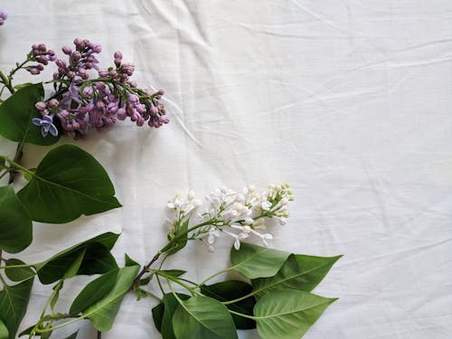 White and Purple Flowers on Linen