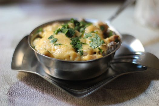 不锈钢碗中，一道淋着奶油酱、点缀着欧芹的意大利面特写镜头