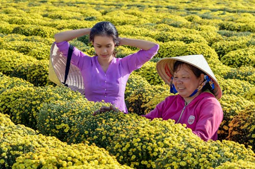 Безкоштовне стокове фото на тему «азіатські жінки, В’єтнам, весна» стокове фото