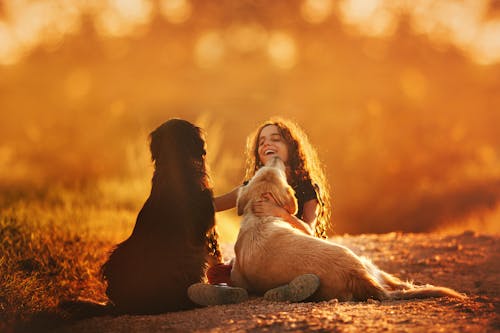 Free Happy girl playing with dogs on ground Stock Photo