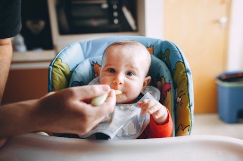 Free Little baby eating yummy food from spoon Stock Photo